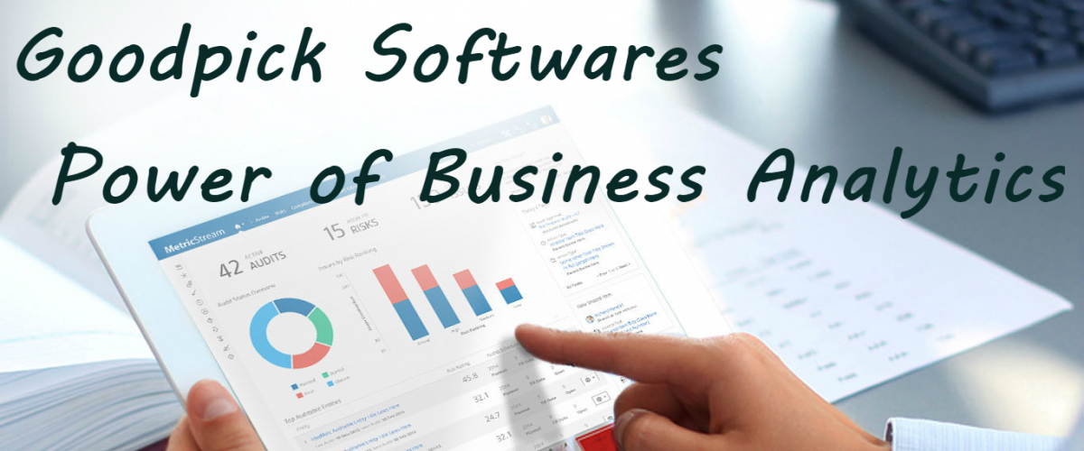 ERP Software in India